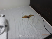 남양주 호평동 빌라서 ‘전기매트 과열’화재