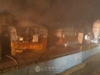 용인 백암면 돼지농장 불… 돼지 700마리 폐사