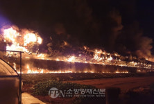 충남 천안 돼지농장 화재… 돼지 900여 마리 폐사