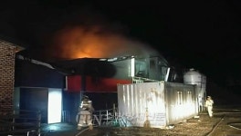 충남 아산 돼지농장 화재… 돼지 300여 마리 폐사