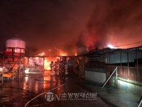 전북 정읍시 돈사 화재… 2억5700만원 재산피해