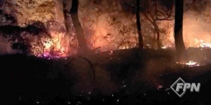 부산 사하구 아미산 화재… 1시간 35분 만에 진화
