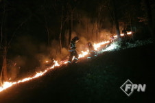 서초소방서, 우면산 산림 화재… 안전하게 진화