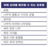 아보리스트를 위한 실전 리깅 기술과 과학-Ⅰ