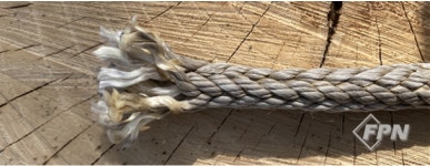 아보리스트를 위한 실전 리깅 기술과 과학-Ⅱ