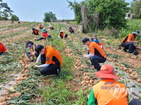 목포시 의소대 연합회, 농촌 일손돕기 봉사활동에 구슬땀
