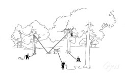 아보리스트를 위한 실전 리깅 기술과 과학- Ⅳ