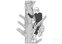 아보리스트를 위한 실전 리깅 기술과 과학- Ⅳ