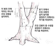아보리스트를 위한 실전 리깅 기술과 과학- Ⅶ