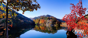 [추천 여행지] 기차에 올라 떠나는 늦가을 힐링 숲 여행