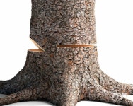 아보리스트를 위한 실전 리깅 기술과 과학- Ⅸ