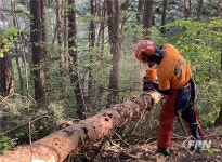 아보리스트를 위한 실전 리깅 기술과 과학- Ⅸ