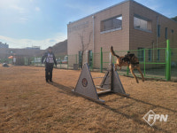 중앙119구조본부 모든 특수구조대서 119구조견 운영한다