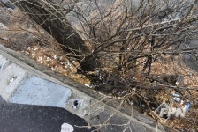 서울중부소방서, 쓰레기더미 화재… 소화기로 자체 진화