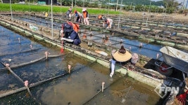 성남소방서 의소대, 가평군 수해 복구 지원