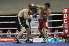 [포토]잘 치고 잘 피했다 권투신인왕전