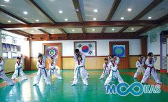 ‘무등록도장’ 해결방안은 가입비 3백만원 통일?