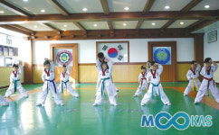 50개 도장, 수련의 지속성 1.5배 상승시킨 태권도 CMS