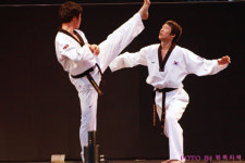 쇼! 태권 아리랑파티의 ‘질투-사랑-화합’