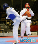 세계선수권 ‘순간포착’ 베스트 오브 베스트