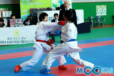 [포토] AG출전 위한 공수도 2차 국대선발전
