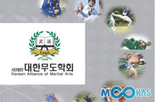 [무도업] ‘무도의 대중화’, 학자들 머리 맞댄다