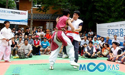 택견배틀 경북성주 전승 , 8강 진출