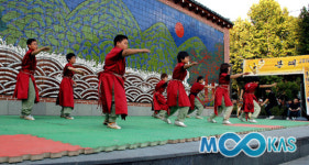 무예가 예술이 되는 무대, 본때뵈기 2010 성료