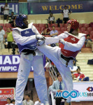 [바쿠] 안새봄 에팡에 무릎… 런던행 티켓은 확보