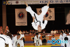 해외 6개국 참여… 코리아오픈 합기도 무술대회 현장