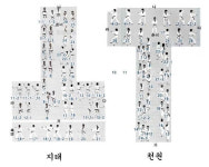 [이경명 칼럼] 태권도 품새 지태 vs 천권