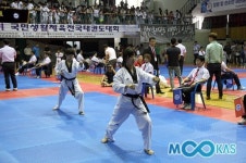 폭염도 물리친 태권도 열기… 이색 태권도 시범경연 ‘호평’