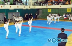 품새지도자협의회장배태권도 5인조 단체 명인전… ‘도원결의’ 우승