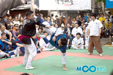 올해도 어김없이 ‘택견배틀’이 시작되다… 10월까지 레이스