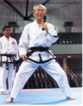 [태권도 대역사서] ITF 태권도 형성과 발달 양성의 역사적 함의