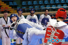 한국가스공사 ‘실업 태권도’ 최강 입증