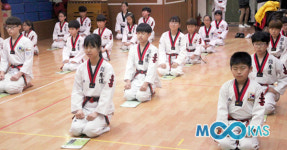 [호동태권도장] 자율수련으로 인성, 실력에 수련생까지 모두 잡아