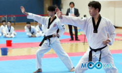장애인 전국태권도대회… 28일 서울서 개최