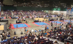 전미 용인대총장배 국제태권대회, 3천5백여명 대성황