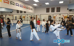 [무도업 특별기고] 미국 태권도장과 지도자