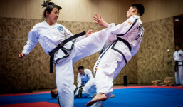 WT, ITF 본부 비엔나서 역사적 유럽 합동투어 나