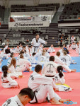 WT와 ITF 태권도라는 이름으로 이색 통합 대회 개최해 화제