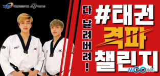 놀면 뭐해! 태권도 틱톡 #태권격파챌린지 해볼까?