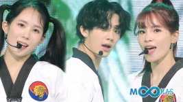 K-타이거즈 제로 성공적인 컴백… 대중은 환호 태권도계는 뜨뜻미지근 왜?