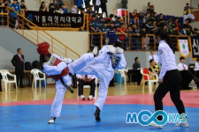 문체부 중고태권도대회 ‘지역활성화 VS 코로나 우려’…태백시 골머리