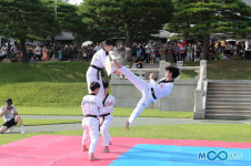 [포토] 청와대 본관 대정원에서 꽃 핀 태권도 향연