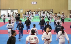 태권도원, 일선 도장 대상 특가 상품 론칭