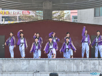 신한대 총장기 태백서 백호의 기상 100인 태권도 발차기로 열광