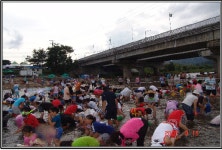 철원 ‘쉬리마을 다슬기 축제’ 한국 대표축제로 거듭나