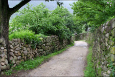 여름 휴가 한티재 넘어 군위로 가볼까